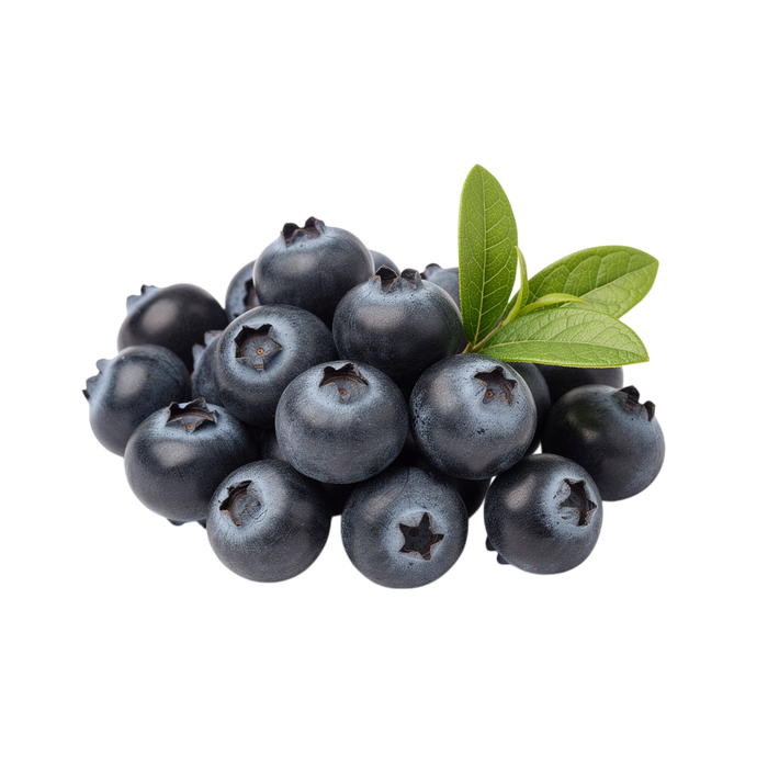 Bilberry Extract
